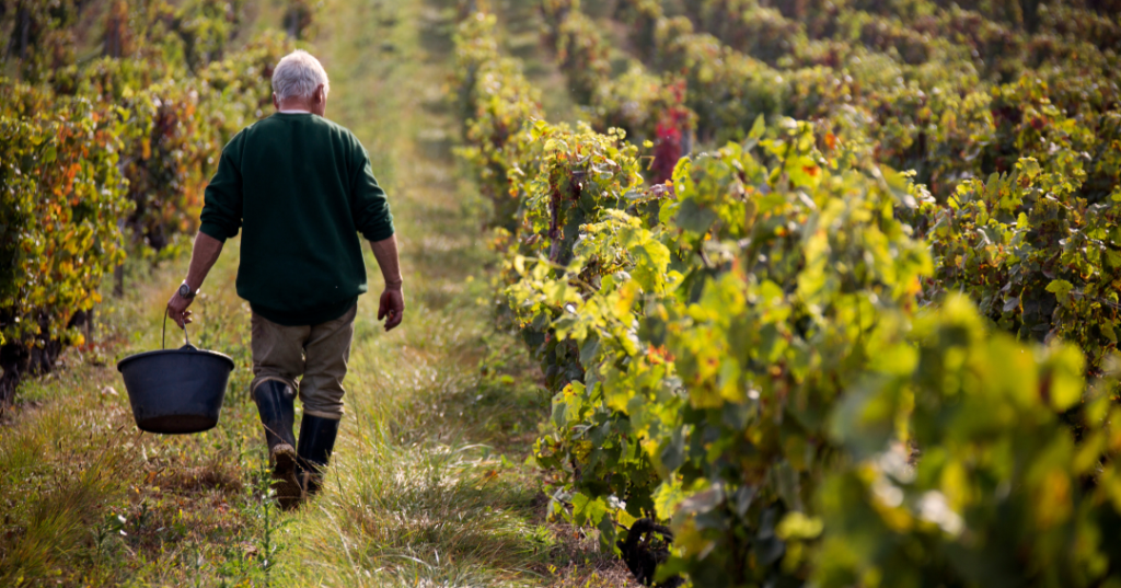 Viticulturist