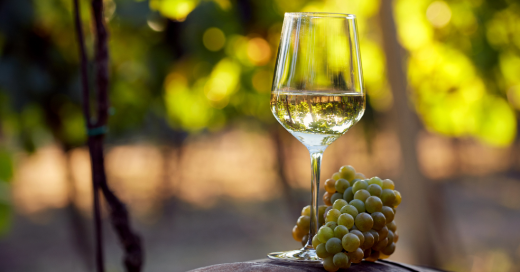 Glass of white wine