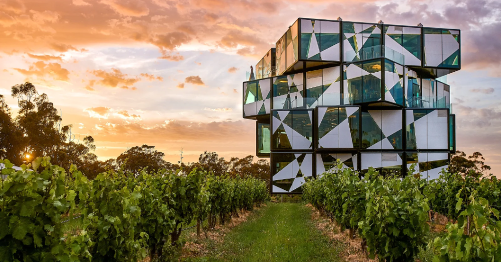 Sun setting over the vineyards at a south australian winery