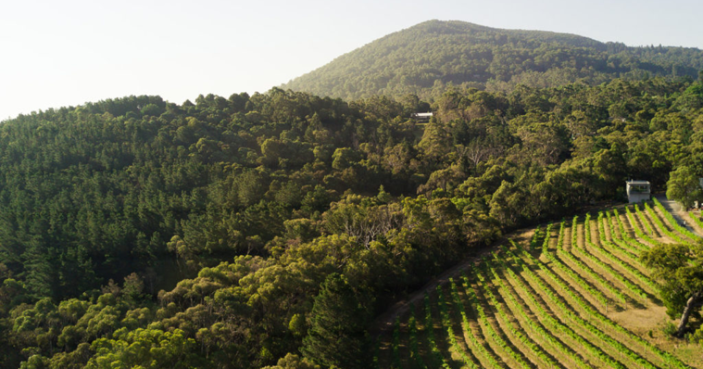aerial view of macedon ranges wine region